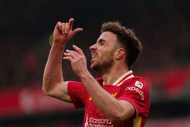 星的布兰登 星的布兰登